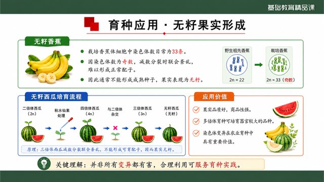 《染色体变异》精品课方法归纳与评价证据